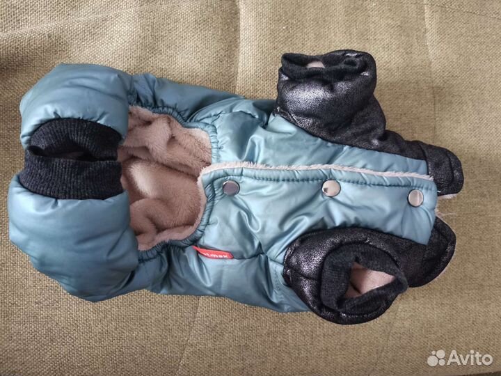 Зимний комбинезон для маленькой собачки