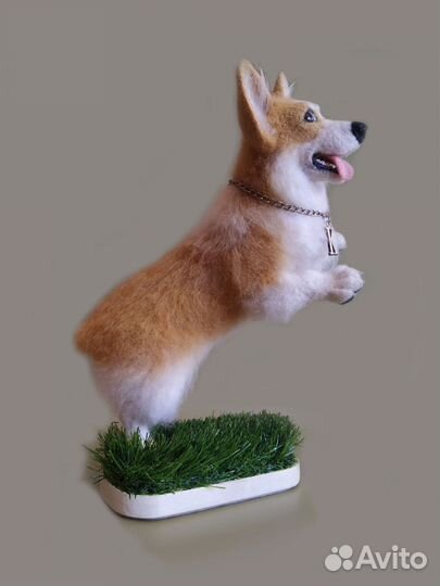 Вельш-корги