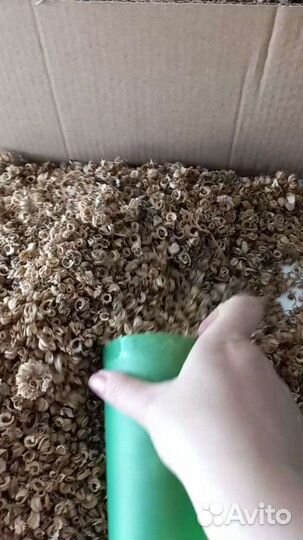 Семена календулы