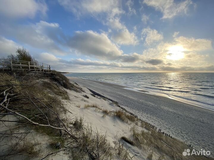 Экскурсии по Калининградской области