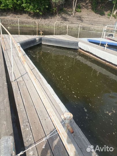 Паук -пантон