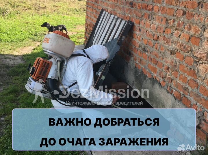 Уничтожение тараканов, клопов, обработка участка