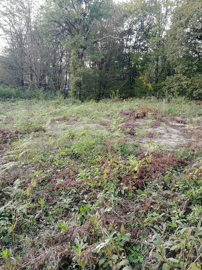 Участок 6 сот. (ИЖС)