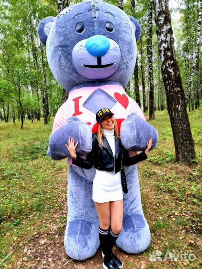 Большой медведь поздравление