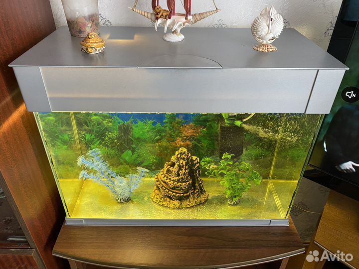 Аквариум