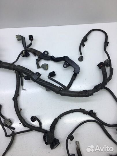 Проводка двигателя Lexus Gs250 GRL11L 4grfse 2012