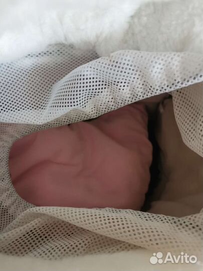 Переноска для кошек и маленьких собачек