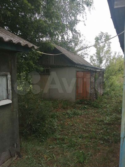 Дом 52,8 м² на участке 28 сот.