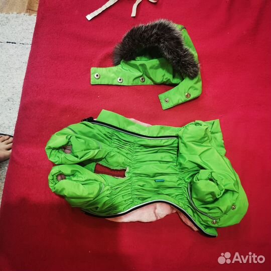 Зимний комбинезон на собаку
