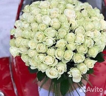 101 Роза Цветы Букеты 51 25 Роз Доставка