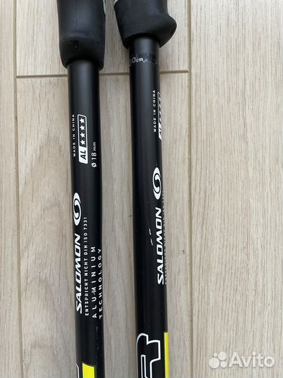 Горные лыжи