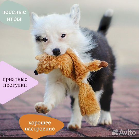 Игрушки для собак Миски для собак и для кошек