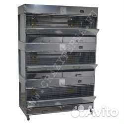 Брудер на 180 сут. цыплят