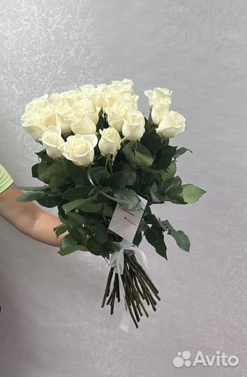 Розы 25 штук 60 см