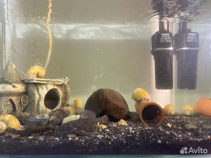 Аквариум