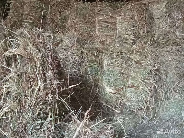 Сено в тюках