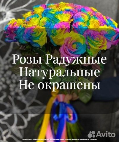 Роза Радужная Необычный подарок