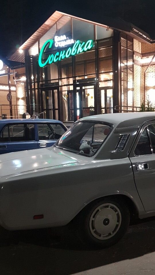 ГАЗ 24 Волга: фото из отзыва