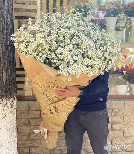 Ромашки Пионы Розы Доставка