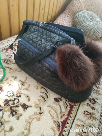 Одежда для йорка