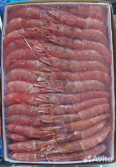 Лангустины L2