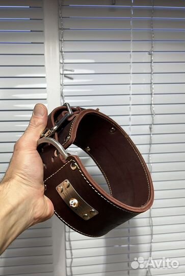 Ошейник для собак