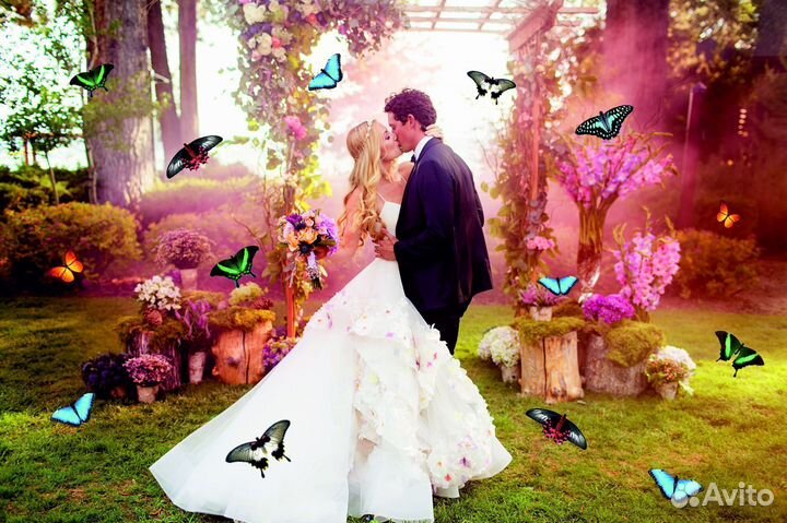 Салют из Живых Тропических Бабочек с/б-7