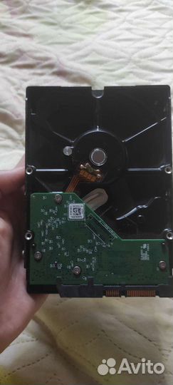 Жесткий диск 1 тб wd