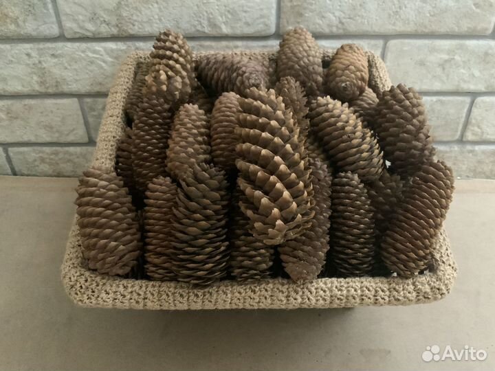 Шишки еловые