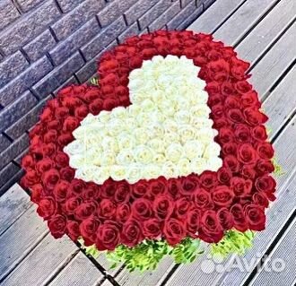 101,201,501 Роза