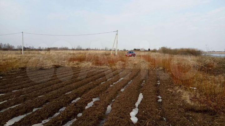 Участок 32 сот. (ИЖС)