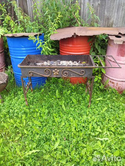 Фикус бенджамина