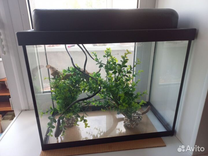 Аквариум 20л