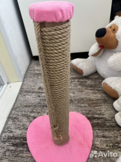 Когтеточка