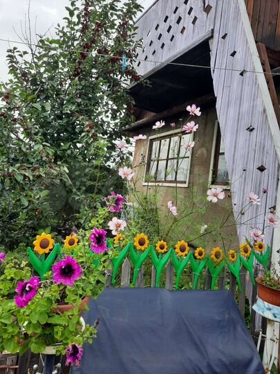 Дом 36 м² на участке 7 сот.