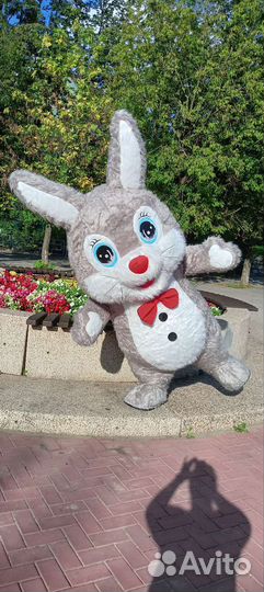 Поздравление от Попузьяны