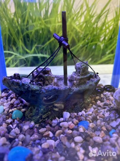 Аквариум 9 литров