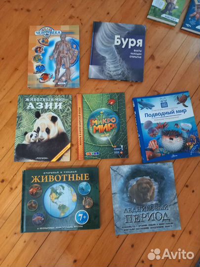 Книга животные динозавры морской мир