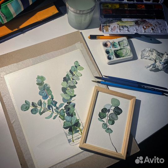 Эвкалипт акварелью, набор