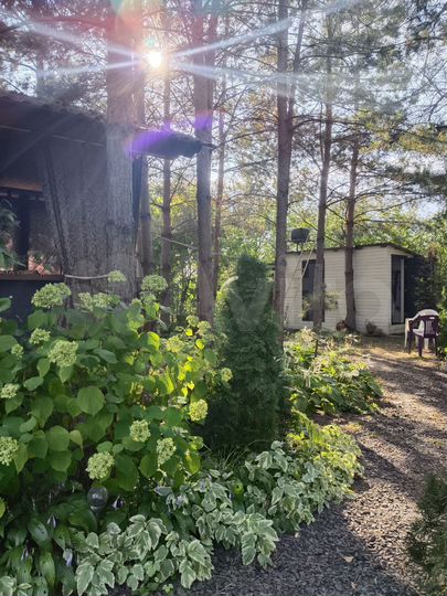 Дача 36 м² на участке 12 сот.