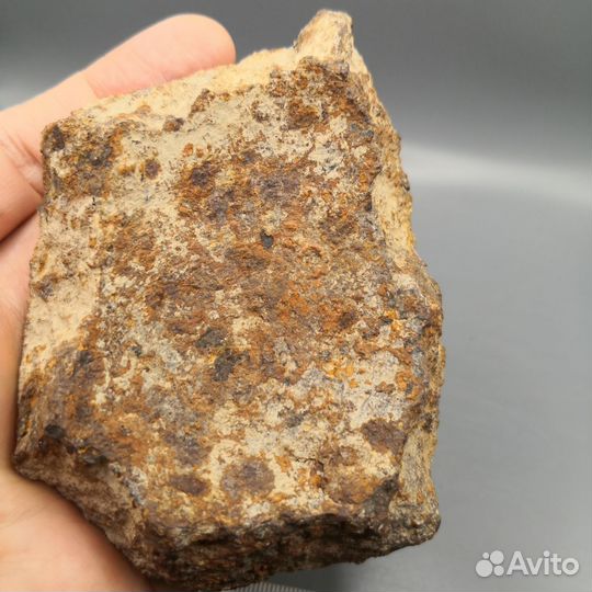 Чугунный осколок, Крым