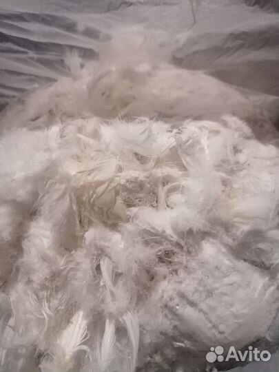 Пух перо гусиное