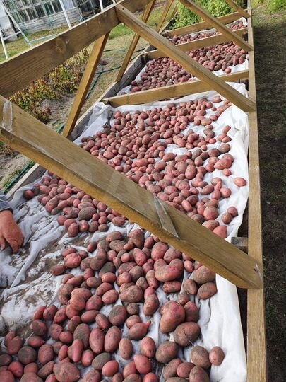 Дом 56 м² на участке 12 сот.