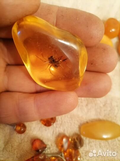 Янтарь СССР