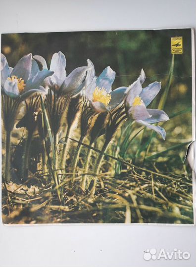 Танцевальная музыка;танго и чарльстон