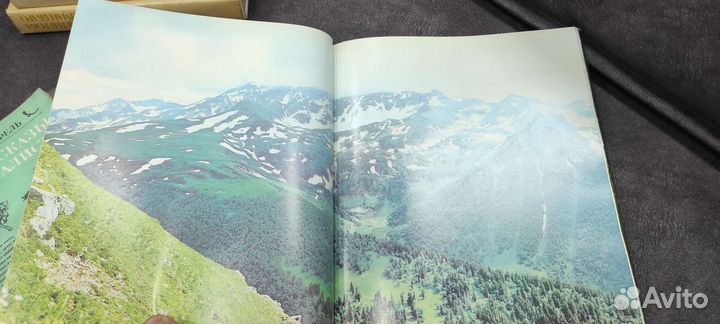 Книга По кавказскому заповеднику