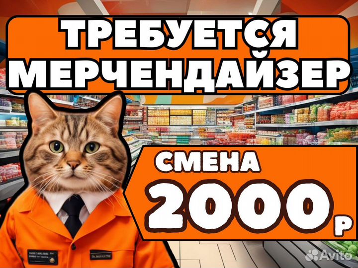 Мерчендайзер грузчик