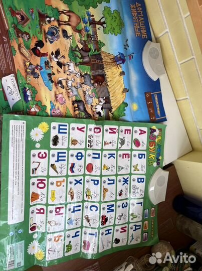 Звуковой плакат Знаток