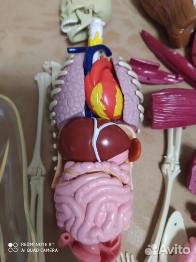 Собрать человека