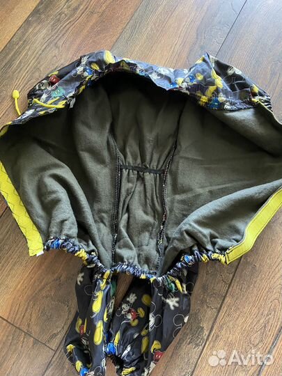 Одежда для собак